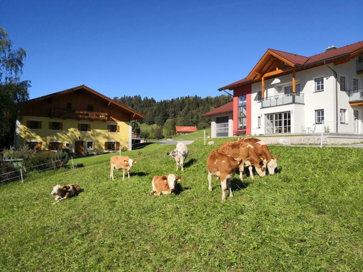 Fitzlhof Apartamento Sankt Koloman Exterior foto